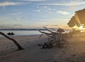 madagascar/amoron-i-mania/landmark/nosy-antanimora