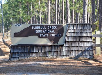 north-carolina/sandhills/landmark/turnbull-creek-educational-state-forest