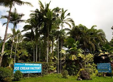 australia/daintree-rainforest/landmark/floravilla-ice-cream-factory