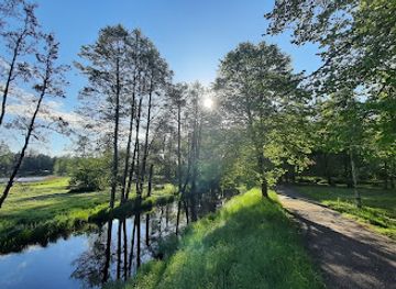 poland/białowieża-forest/landmark/palace-park-in-bialowieza