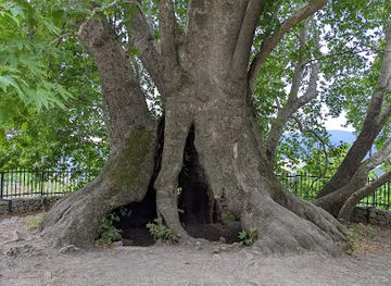armenia/kapan/landmark/tnjri-chinari-tsar