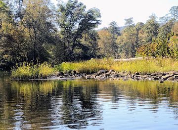 alabama/alabama-coastal-birding-trail/landmark/buck-s-pocket-state-park