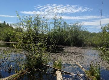 washington/everett/landmark/narbeck-wetland-sanctuary