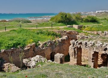 cyprus/kato-paphos/landmark/tomb-5
