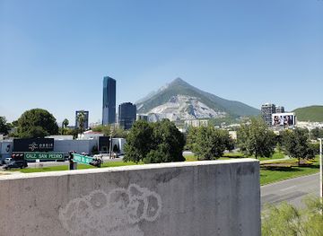 mexico/monterrey/san-pedro-garza-garcia/landmark/calzada-san-pedro