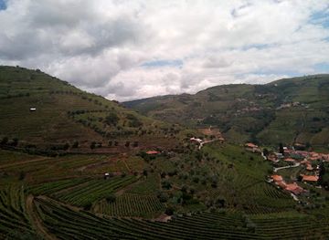 portugal/douro-valley/landmark/naturwaterpark-parque-de-diversoes-do-douro-lda