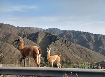 argentina/aconcagua-provincial-park/landmark/villavicencio-natural-reserve