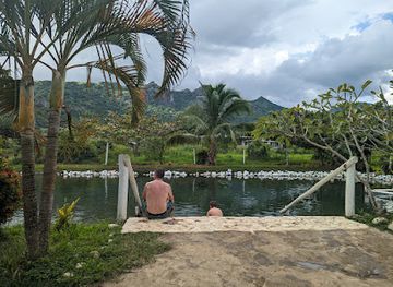 fiji/eastern-division/landmark/tifajek-mud-pool-hot-spring-tours-and-transfers