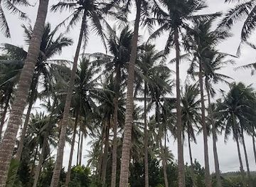 philippines/ilocos-norte/landmark/ang-pinagdaungan-ng-uss-stingray-historical-marker