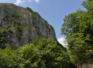 romania/gorj/landmark/cheile-oltetului