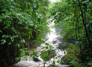 bolivia/amazon-basin/landmark/amboro-tours