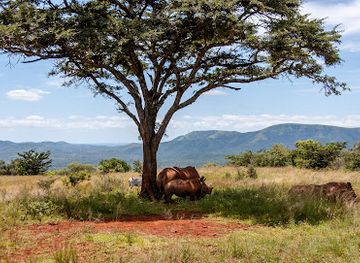 south-africa/hluhluwe-imfolozi-park/landmark/hluhluwe-imfolozi-game-reserve