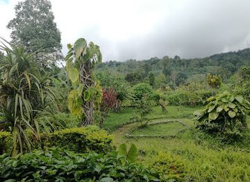 sao-tome-and-principe/santa-catarina/landmark/jardim-botanico-do-bom-sucesso