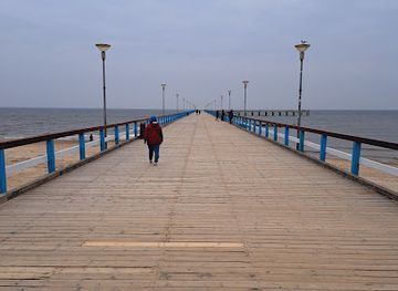 lithuania/palanga-beach/landmark/j-basanaviciaus-street