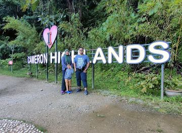 malaysia/cameron-highlands/landmark/i-love-cameron-highlands-sign