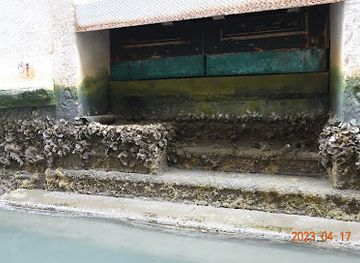 italy/veneto/landmark/palazzo-marcello-dei-leoni