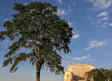 louisiana/lake-charles/landmark/the-country-club-at-the-golden-nugget