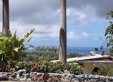 barbados/west-coast/landmark/welchman-hall-gully