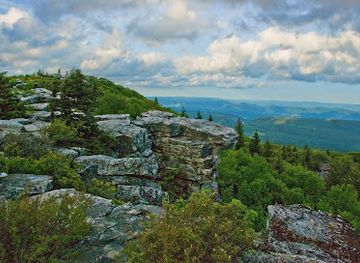 west-virginia/dolly-sods-wilderness/landmark/dolly-sods