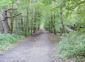 belgium/de-haan/landmark/gr-5a-wandelboom