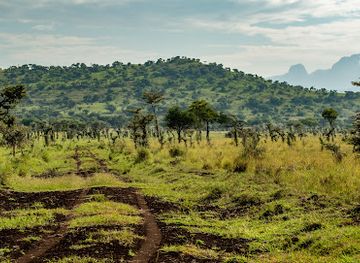 uganda/teso/landmark/pian-upe-game-reserve