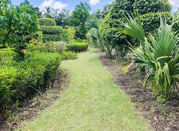 haiti/grand-anse/landmark/cayes-botanical-garden