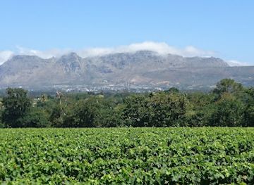 south-africa/cape-town/constantia/landmark/jonkershuis-constantia