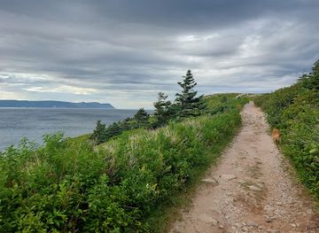 canada/cape-breton-highlands-national-park/landmark/white-point-trailhead