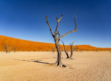namibia/luderitzland/landmark/deadvlei