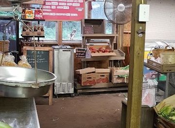 south-carolina/edisto-island/landmark/george-pink-s