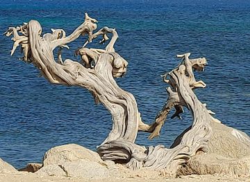 aruba/eagle-beach/landmark/museo-historico-aruba