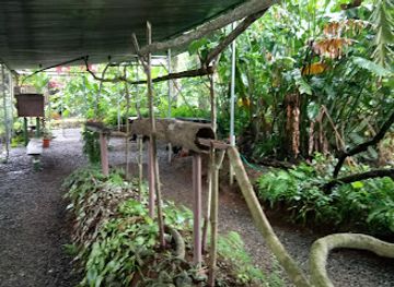 costa-rica/sarapiqui/landmark/hormigas-town