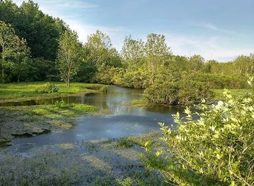 kentucky/henderson/landmark/audubon-wetlands-trail