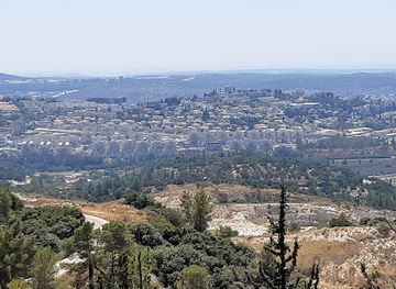 israel/beit-she-an/landmark/me'arat-hanetifim
