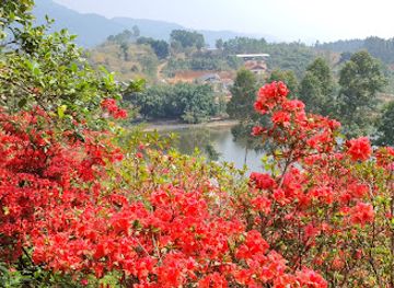 vietnam/tam-dao/landmark/vuong-quoc-hoa-do-quyen
