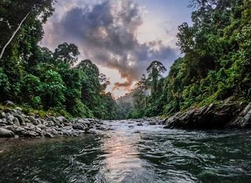 indonesia/bukit-lawang/landmark/sumatra-orangutan-treks