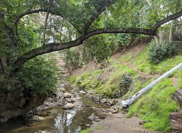 california/castro-valley/landmark/carlos-bee-park