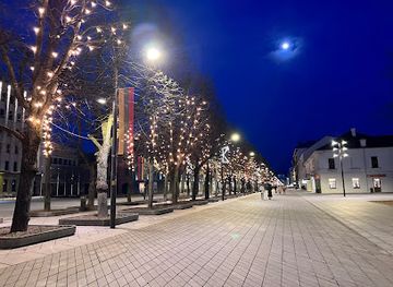 lithuania/kaunas/laisves-aleja/landmark/laisves-aleja