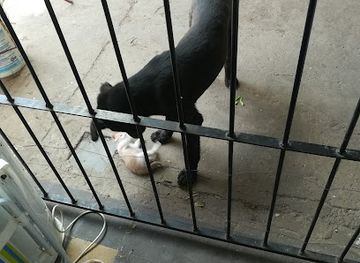 uruguay/soriano/landmark/afe-station