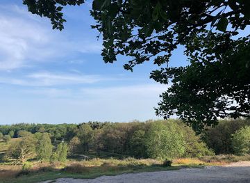 netherlands/hoge-veluwe-national-park/landmark/kraaijenberg-herikhuizerveld-nationaal-park-veluwezoom
