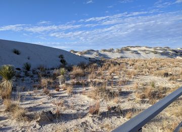 new-mexico/white-sands/landmark/interdune-boardwalk