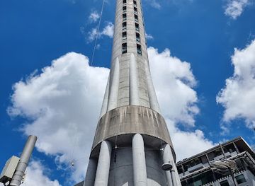 new-zealand/auckland/landmark/all-blacks-experience