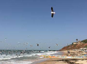 the-gambia/foni-brefet/landmark/omi-tours-gambia