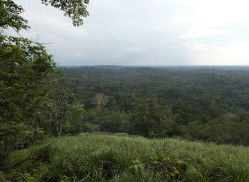 cote-d-ivoire/lagunes/landmark/tai-national-park