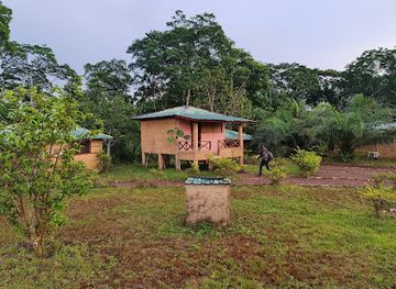 ghana/nzema/landmark/ankasa-game-reserve-nini-suhien-national-park