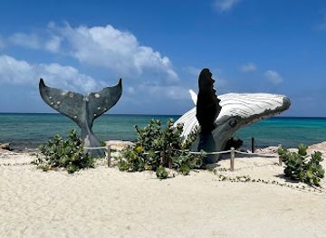 turks-and-caicos-islands/grand-turk/landmark/grand-turk-whale