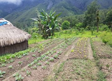 timor-leste/liquica/landmark/ossuario-liquica