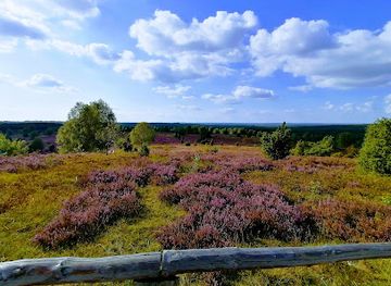 germany/lüneburg-heath/landmark/wilseder-berg
