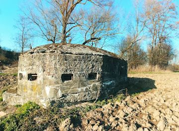france/alsace-wine-route/landmark/ancien-observatoire-d-artillerie-ww1