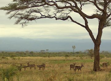 kenya/chyulu-hills/landmark/meru-national-park